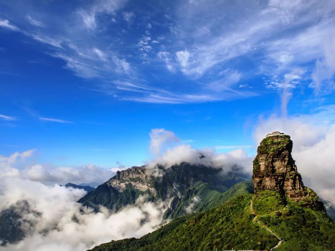 户山香澄_户山香澄卡面_户山香澄为什么被称为cdd