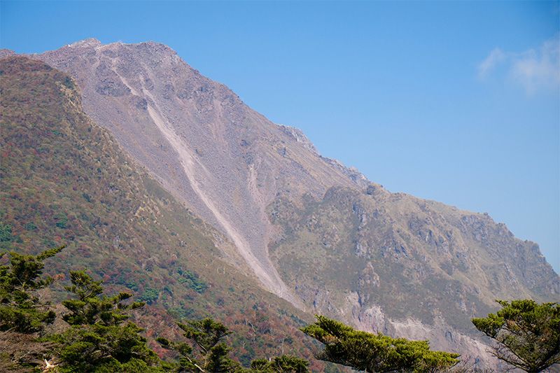 户山香澄卡面_户山香澄为什么被称为cdd_户山香澄