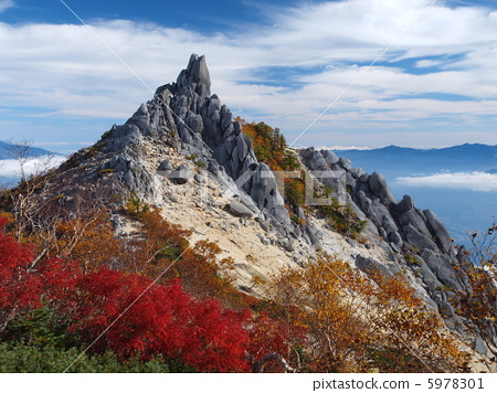 户山香澄_户山香澄卡面_户山香澄为什么被称为cdd