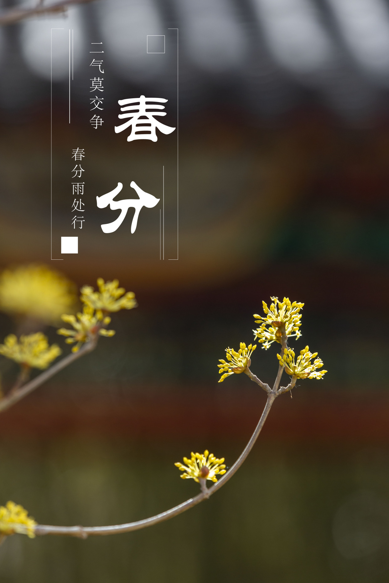 春分气候特征_春分节气的气候特征_春分的气候特点
