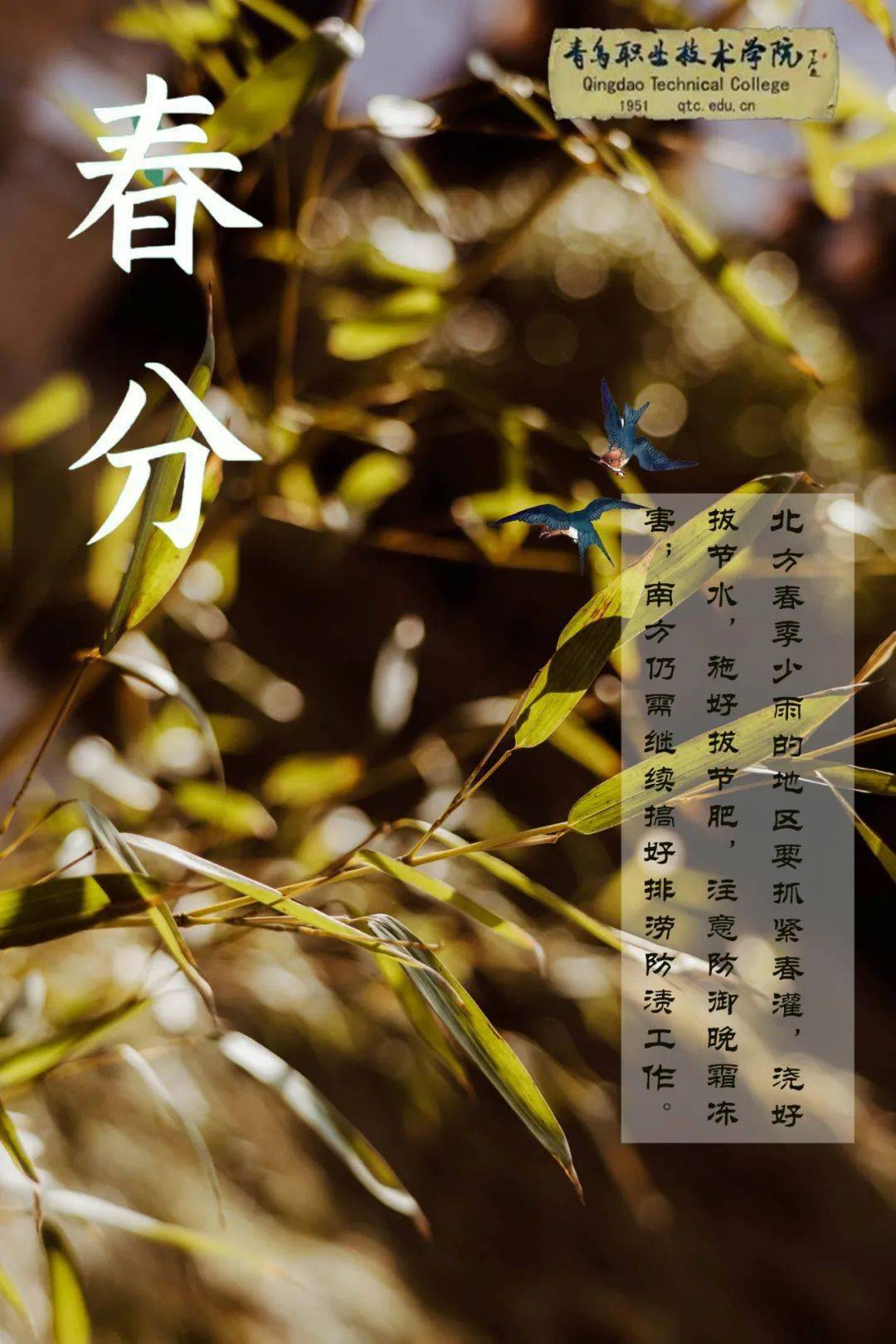 春分的气候特点_春分节气的气候特征_春分气候特征