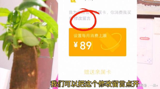钱包客服是什么_钱包客户电话是多少_im钱包客服怎么联系