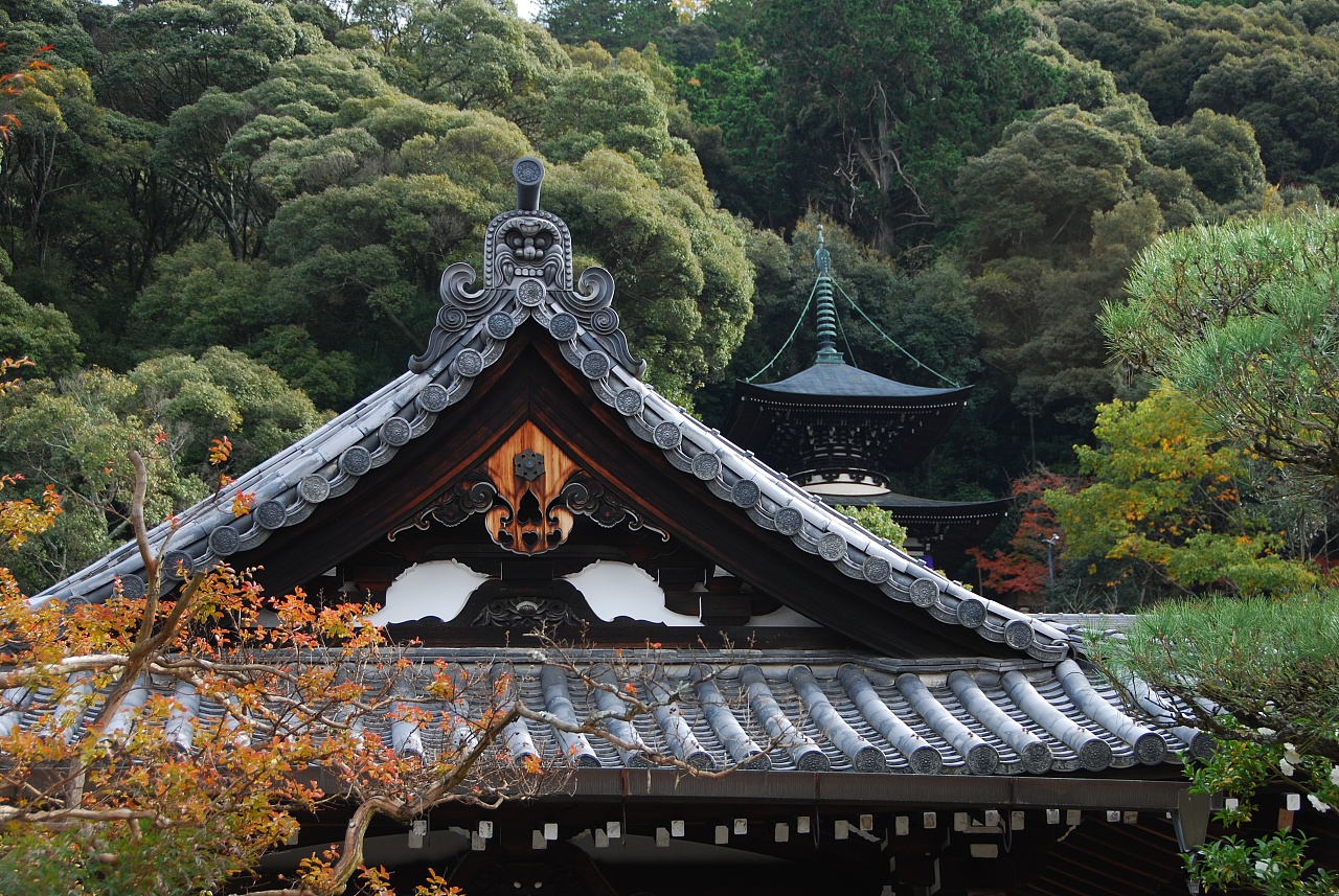 在京都小住是电影吗_京都小住百度百科_京都小住