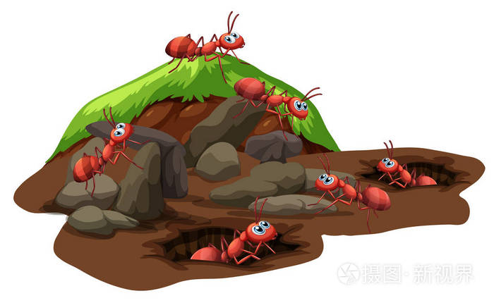 蚂蚁下载器安卓版_蚂蚁手机下载游戏_蚂蚁下载安卓