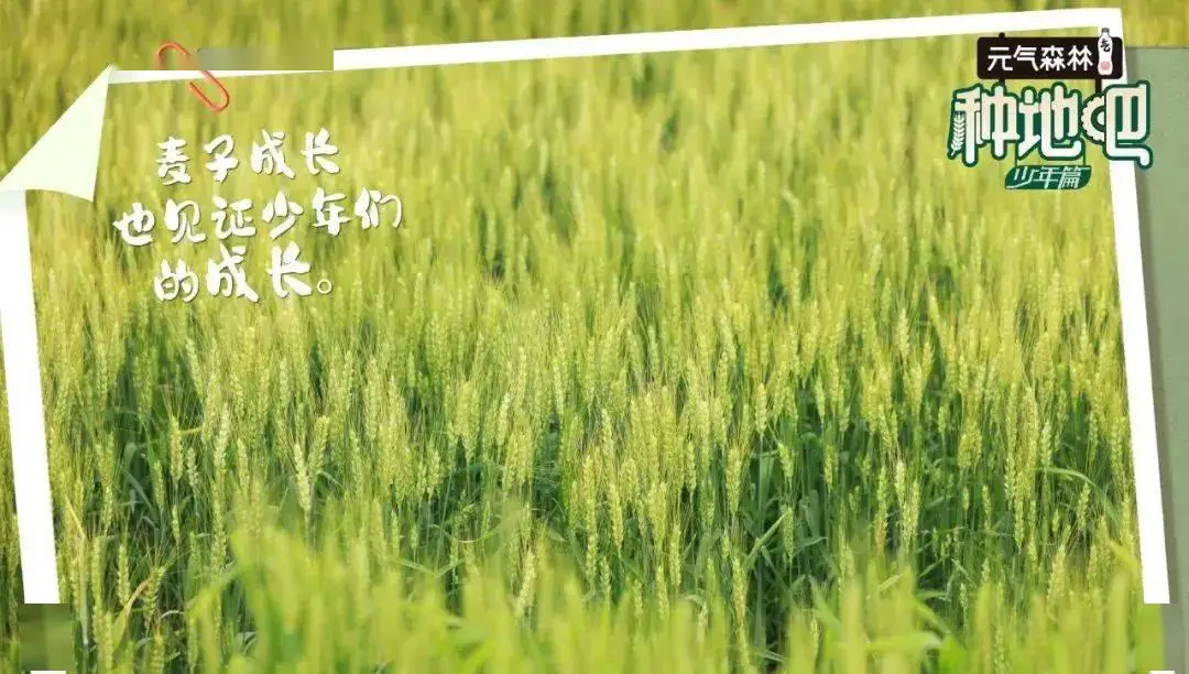 真帆去棹残阳里背西风酒旗斜矗_真帆_うるや真帆