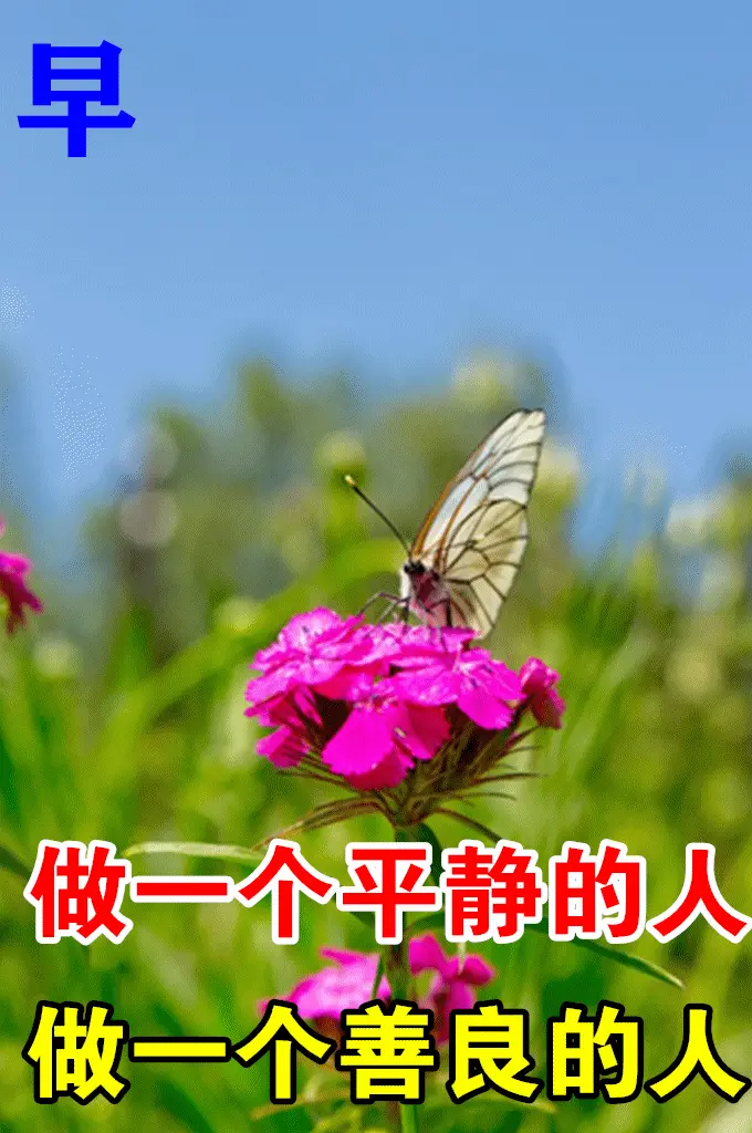 小狐狸钱包转账_小狐狸钱包转错了_狐狸钱包转错钱包