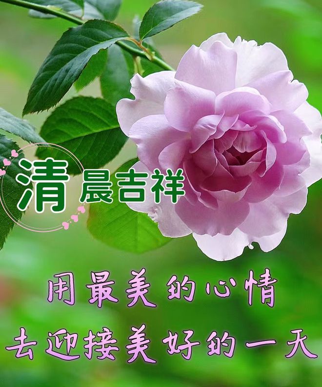 小狐狸钱包转账_小狐狸钱包转错了_狐狸钱包转错钱包