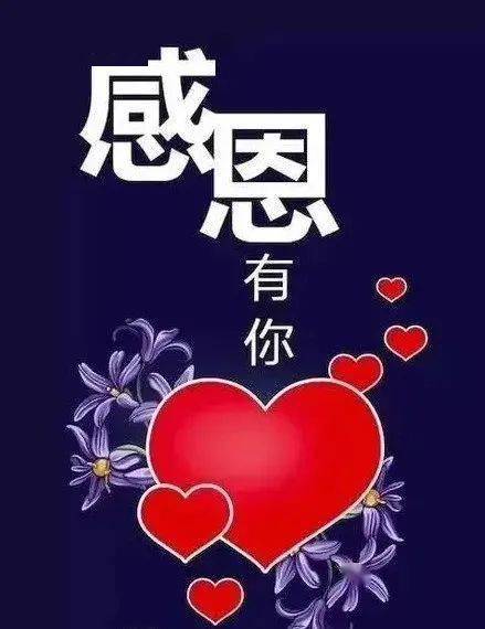 樱花女王什么意思_樱花包是什么_出包王女樱花