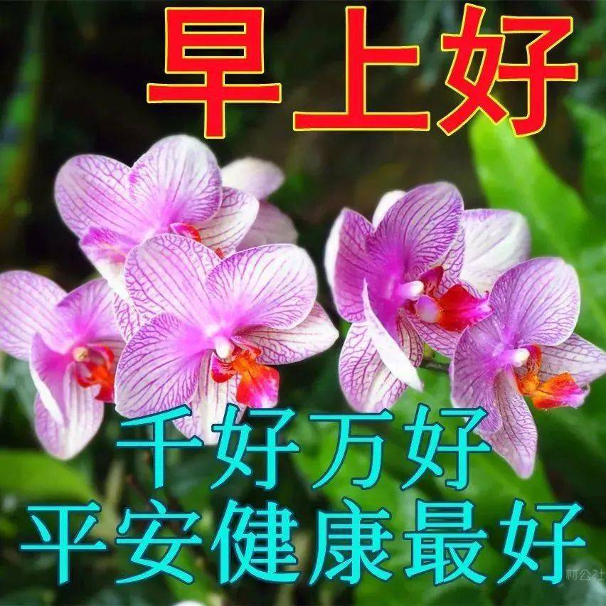 张琪瑛_张琪瑛_张琪瑛