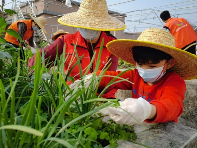 菜划算b端销售待遇咋样_菜划算平台_菜划算app