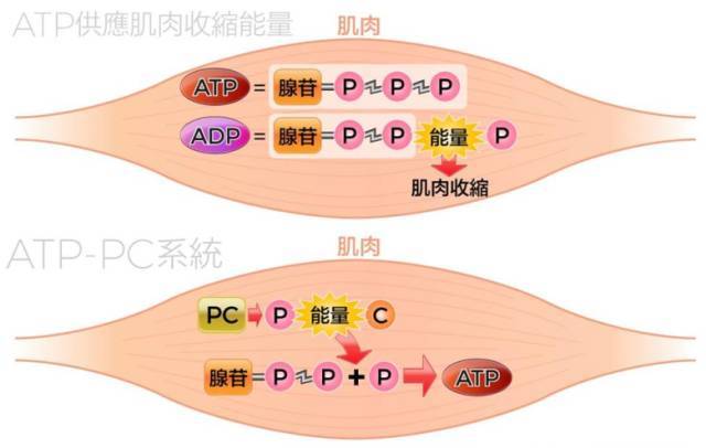 tp钱包怎么弄ADpps_钱包弄丢了_钱包弄脏了怎么清洗