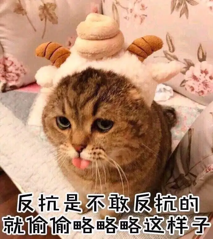 有人加我来源是朋友验证消息_加好友来源于验证消息_加好友显示朋友验证消息来源