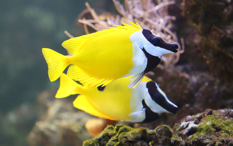 深海电视剧全集免费_深海2023免费完整版高清在线观看_深海电影免费