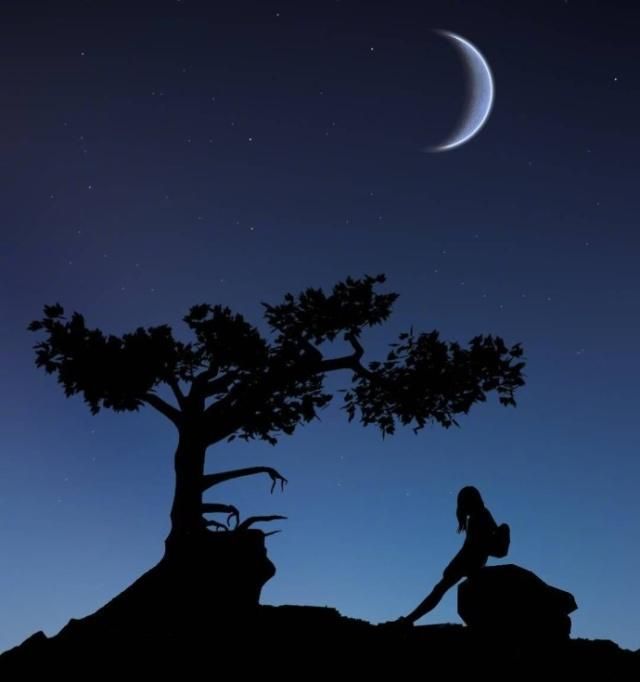 手机对练游戏_零基础做手机游戏_练游戏手速的软件