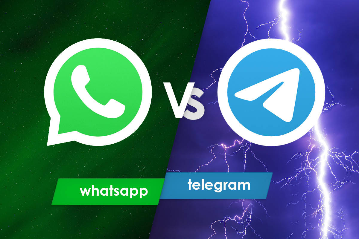 telegram怎么看隐私_telegram怎么看隐私_telegram怎么看隐私