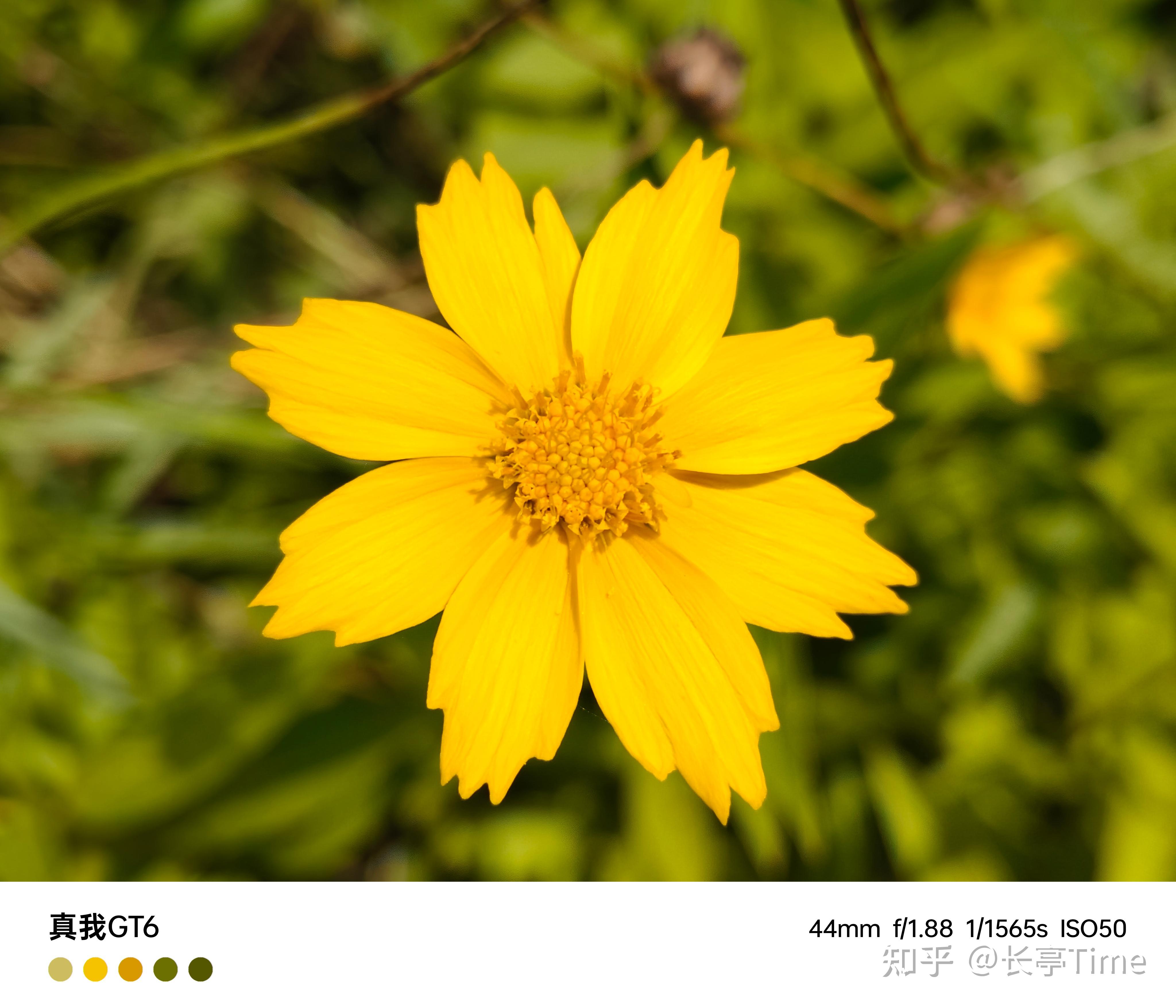 拍照游戏防抖手机推荐苹果_iphone拍照防抖吗_苹果防抖相机app