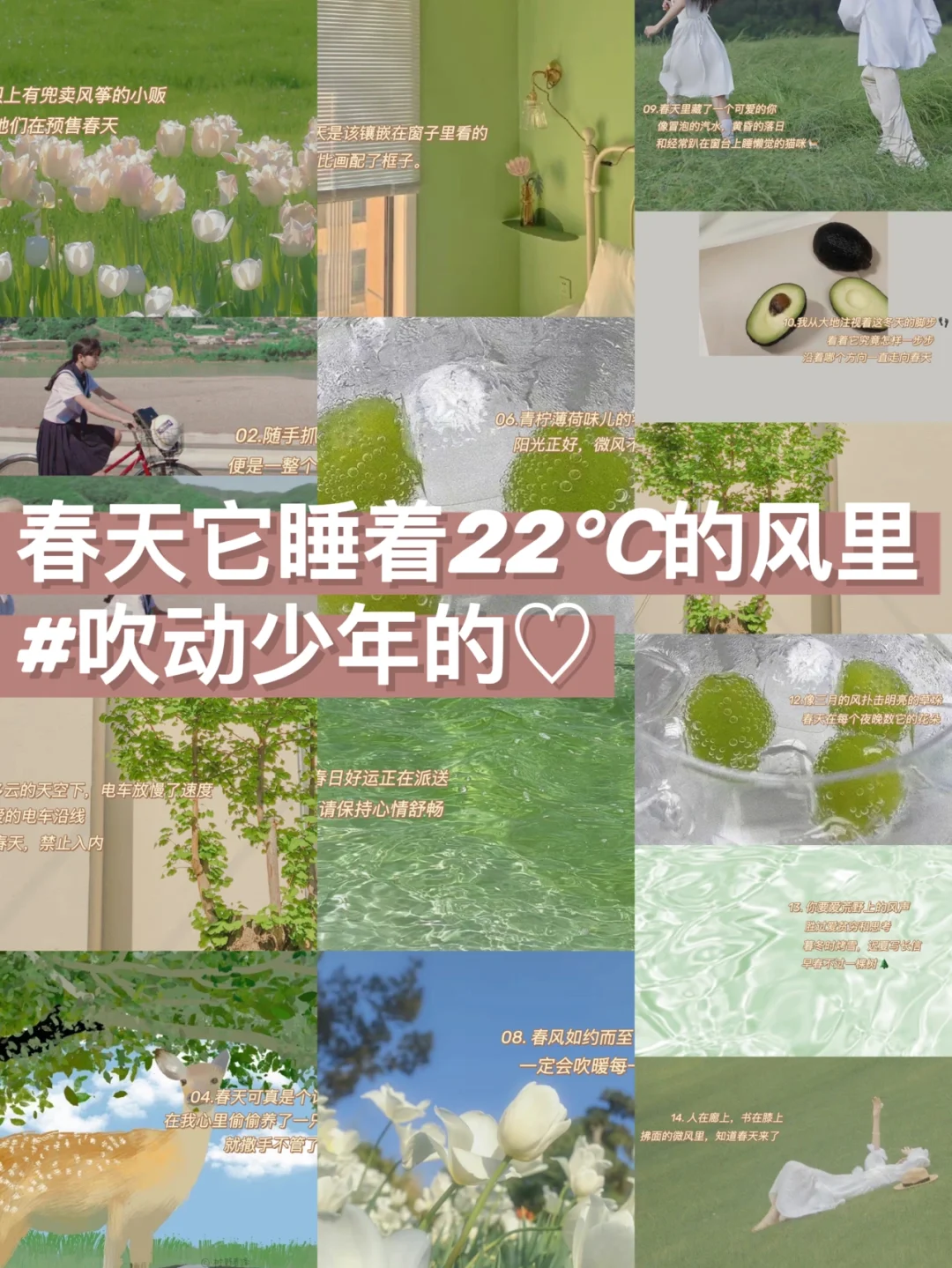 终里赤音_终里赤音_终里赤音