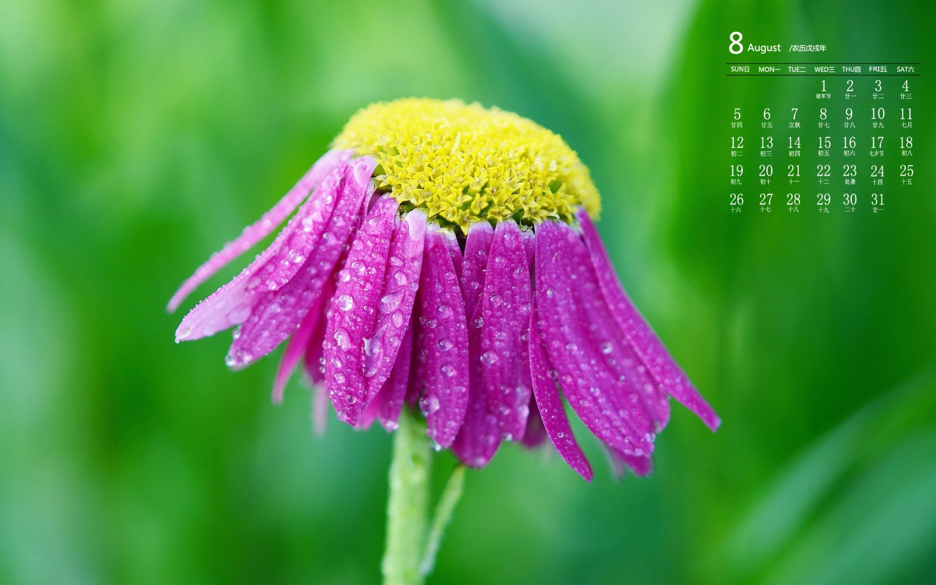 苹果手机如何显示日历节日_日历节日表大全_日历节日